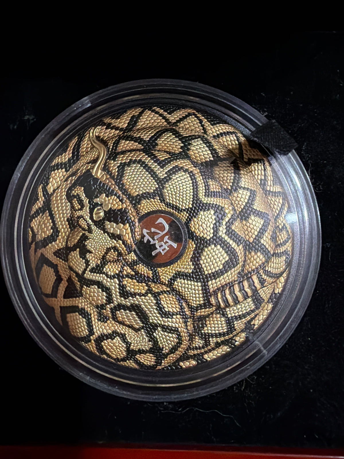 2025 Niue Rattlesnake 5oz Silver Gilded Black Proof Coin