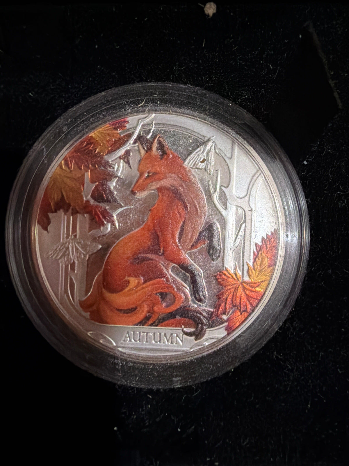 2024 Niue Seasons Autumn Red Fox 1oz Silver Proof Coin