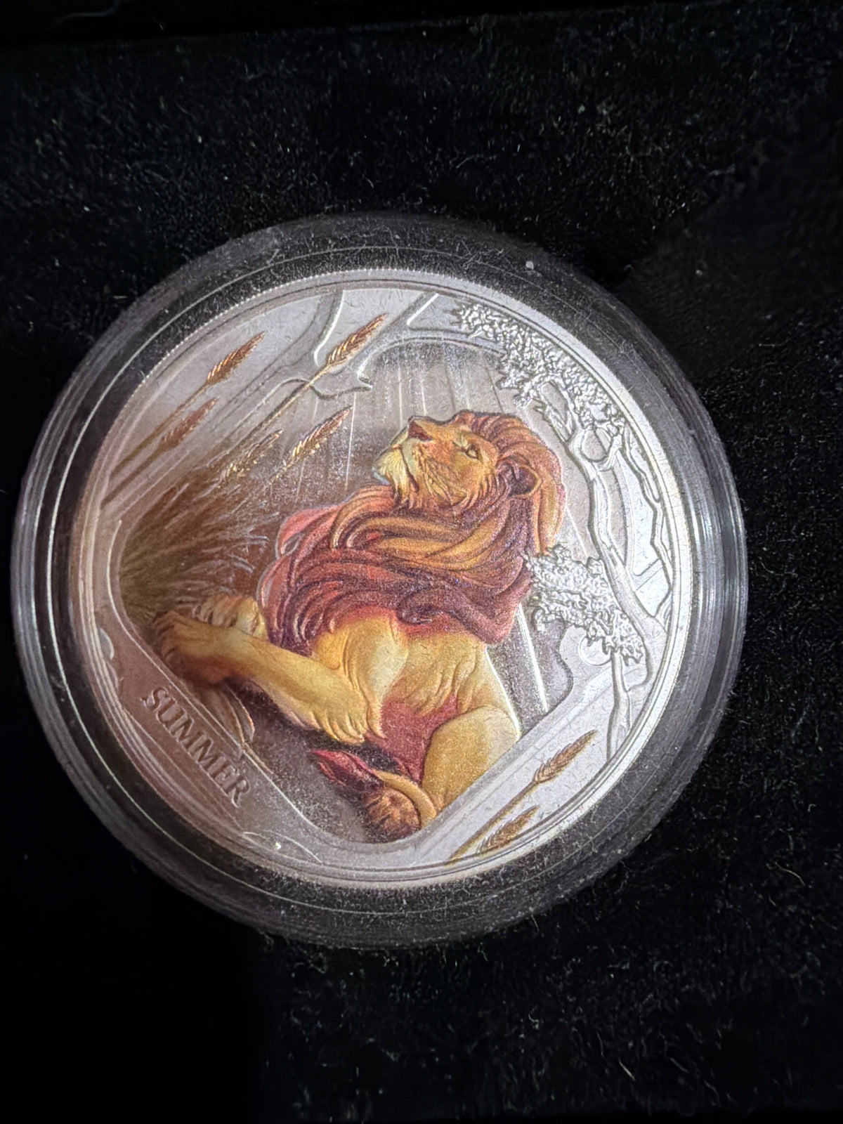 2025 Niue Seasons Summer Lion 1oz Silver Coloured Proof Coin