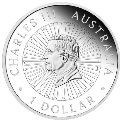 2026 Perth Mint Great Southern Land Nocturnal 1oz Silver Proof Opal Coin