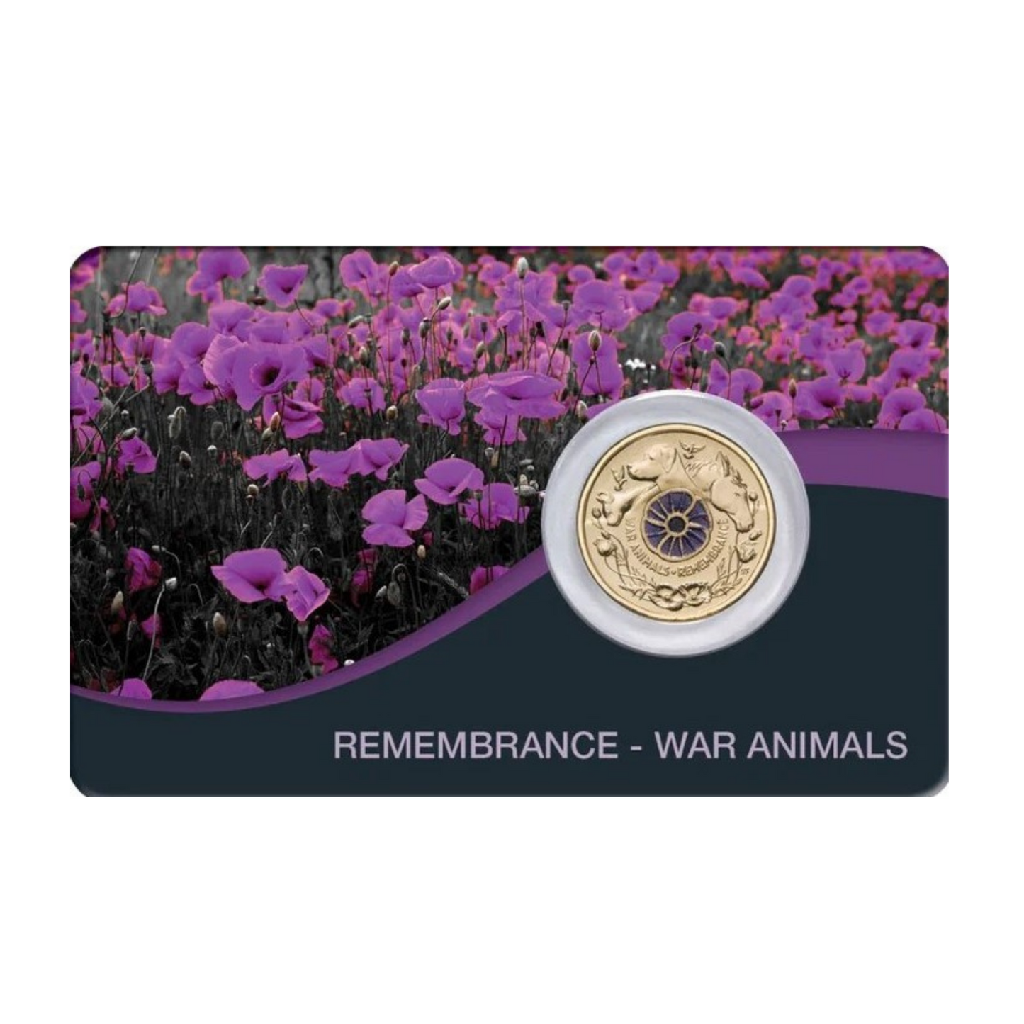2024  RAM Remembrance Day War Animals$2  Color Uncirculated Coin Pack