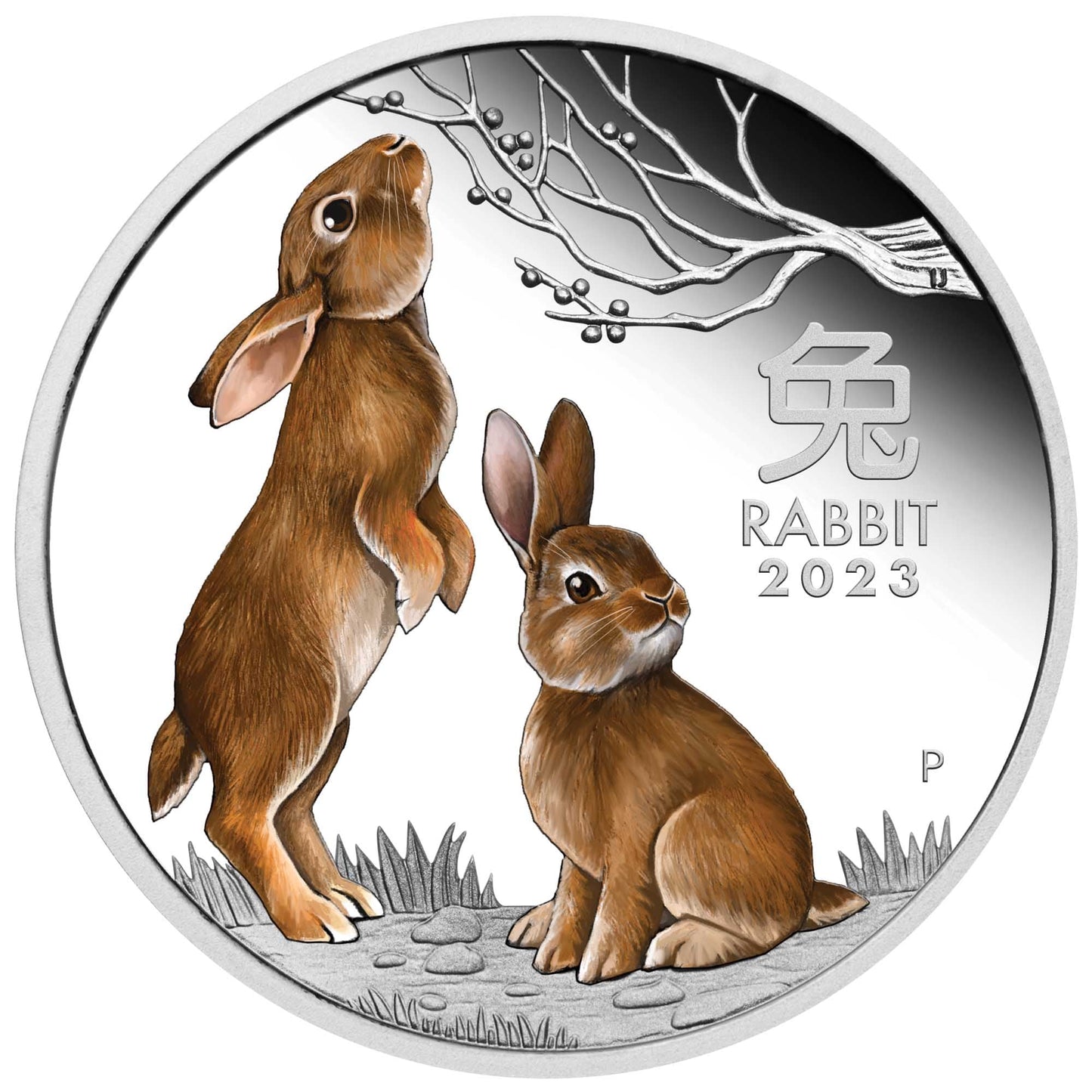 2023 Perth Mint Rabbit 1oz Silver Proof Coloured Coin