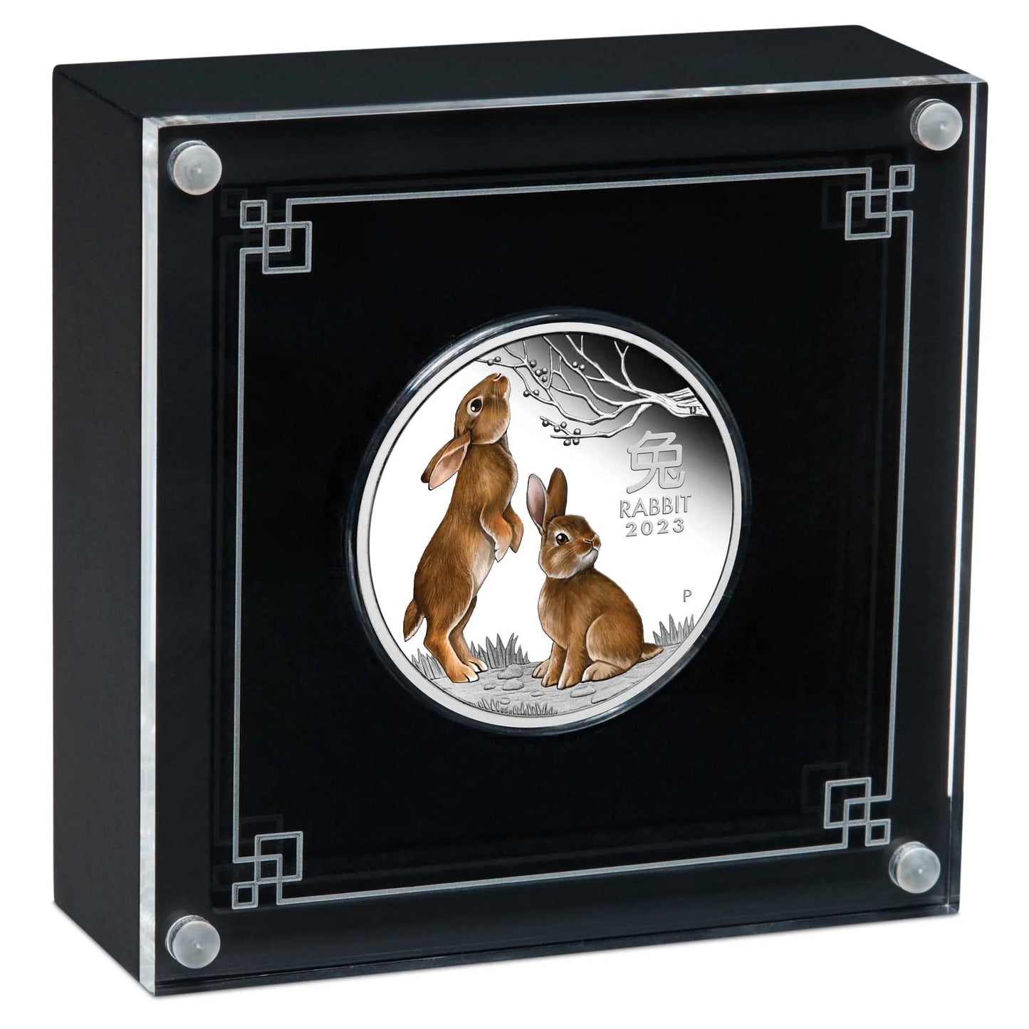 2023 Perth Mint Rabbit 1oz Silver Proof Coloured Coin