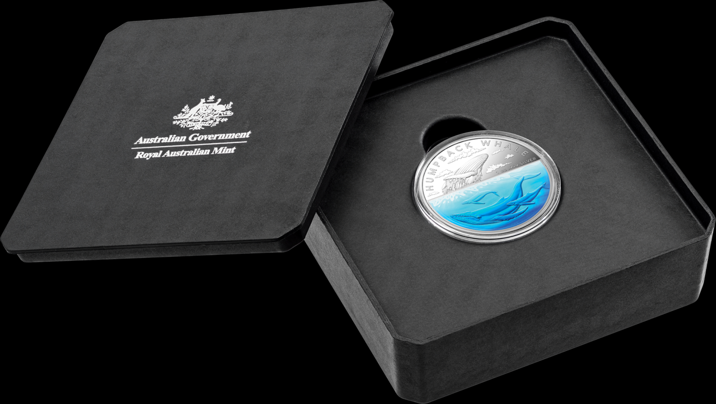 2023 RAM Humpback Whale 1oz Silver Coloured Proof Coin