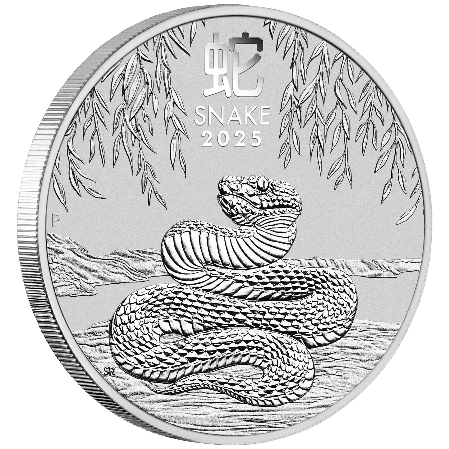 2025 Perth Mint Lunar Snake 1oz Silver Bullion Coin