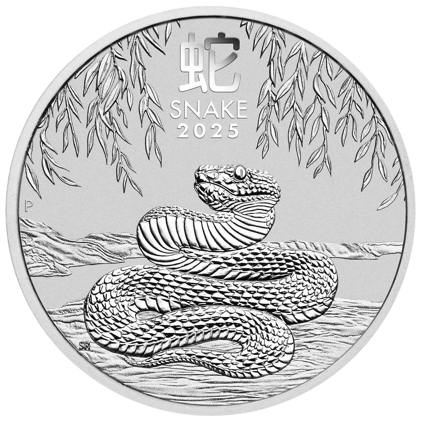 2025 Perth Mint Lunar Snake 1oz Silver Bullion Coin