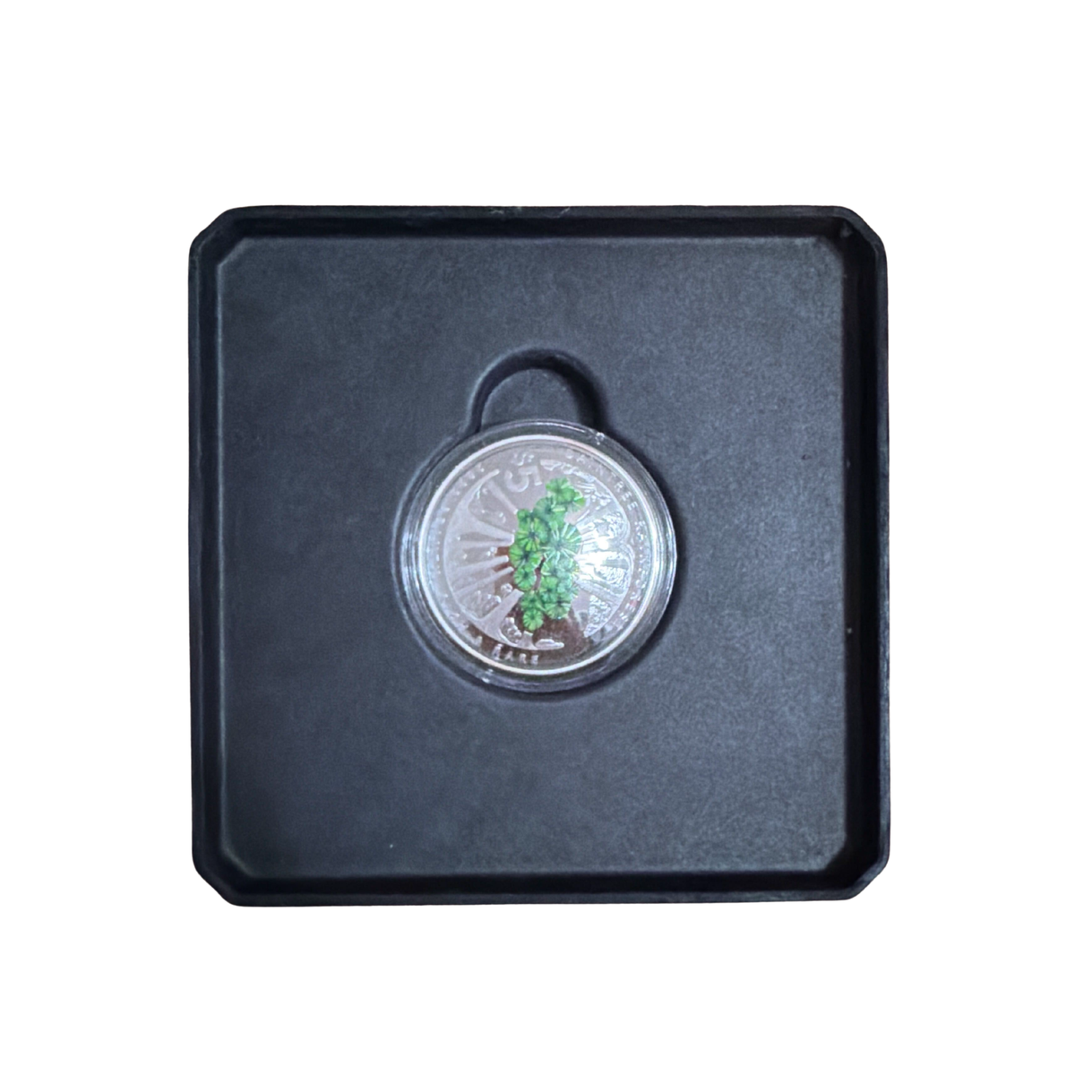 2022 RAM Daintree Rainforest 1oz Silver Coloured Domed Proof Coin