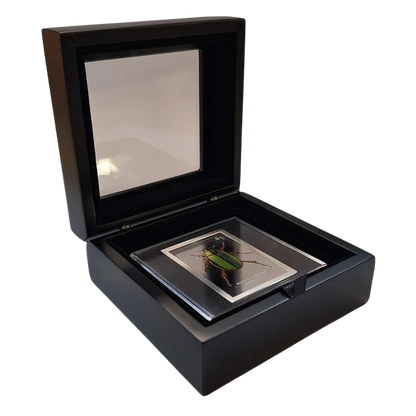 2026 Manuka Beetle 2oz Silver Coloured High Relief Proof Coin