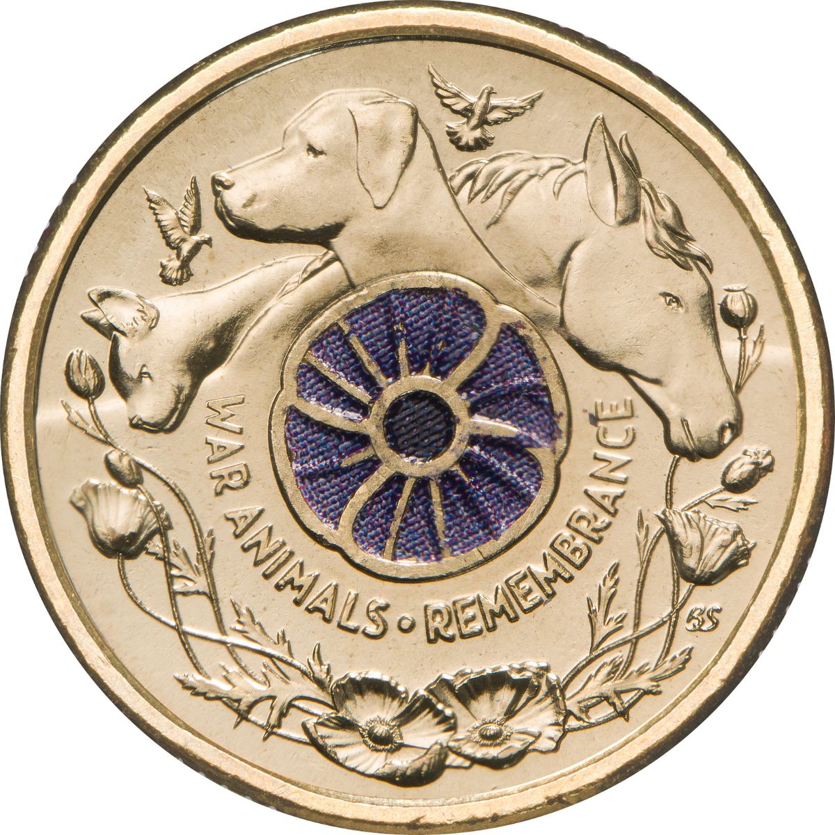 2024  RAM Remembrance Day War Animals$2  Color Uncirculated Coin Pack