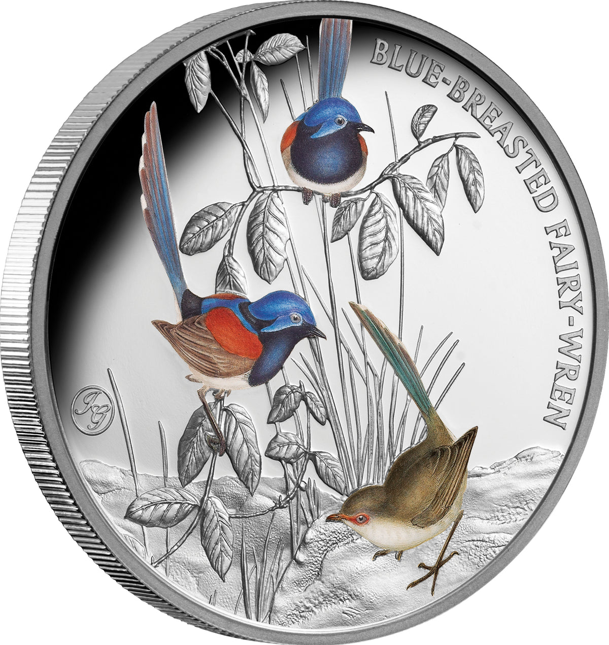2026 Niue Birds of Australia Fairy Wren 1oz Silver Coloured Proof Coin