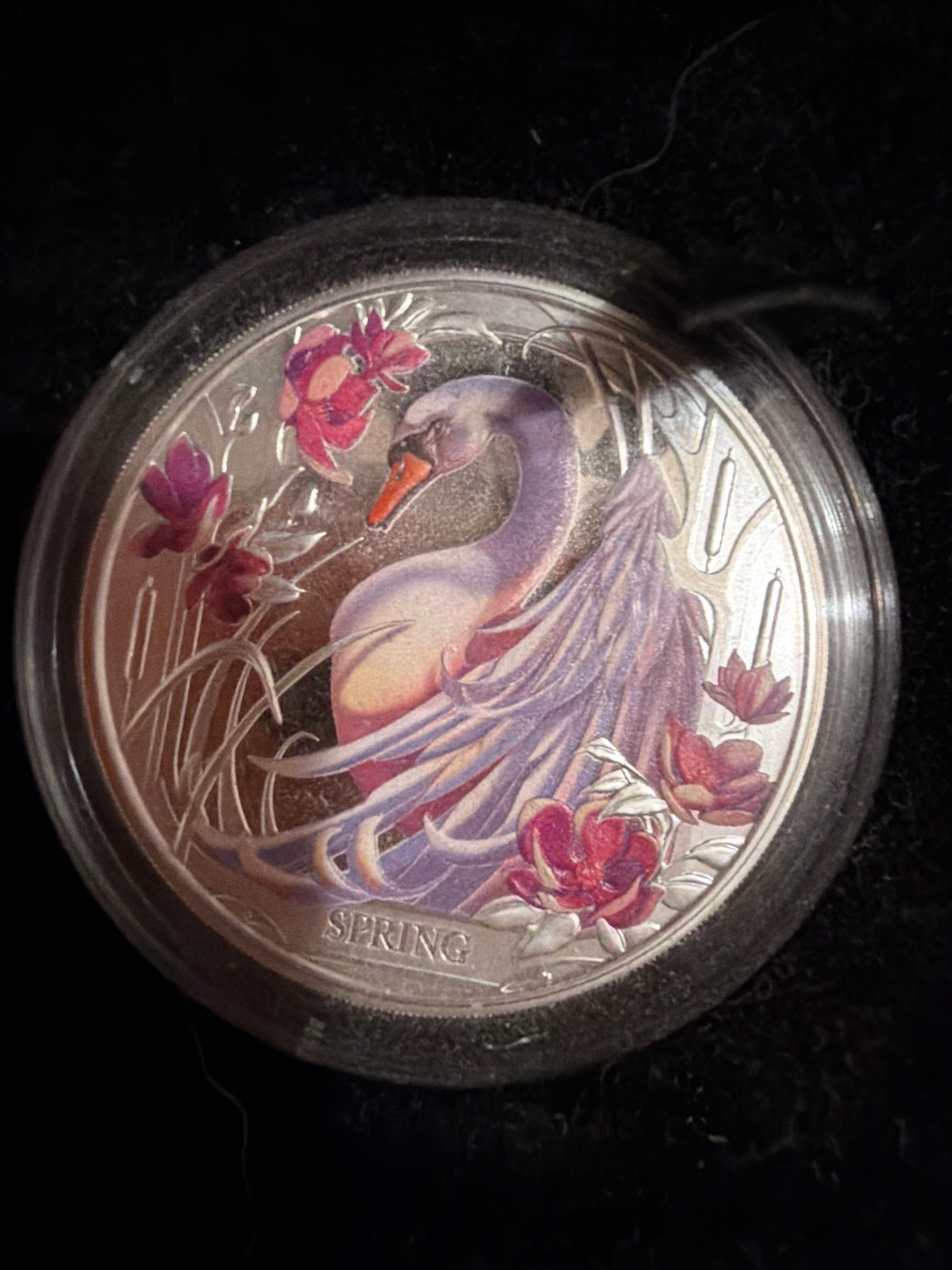 2024 Niue Seasons Spring Swan 1oz Silver Coloured Proof Coin