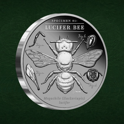 2026 Niue Lucifer Bee 2oz Silver Black Proof Coin Pre order